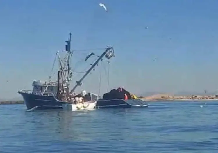 Buscan resolver ecocidio marino