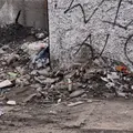Vecinos de la colonia Constituci&oacute;n piden atenci&oacute;n a escombros y basura