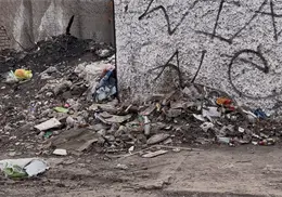 Vecinos de la colonia Constituci&oacute;n piden atenci&oacute;n a escombros y basura