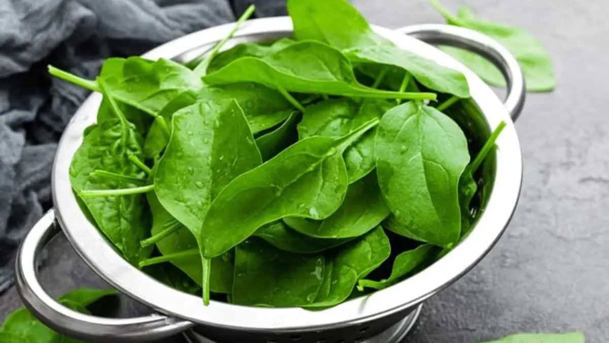 C&oacute;mo regular tu sistema nervioso y arritmias leves con espinacas, seg&uacute;n cardi&oacute;logo