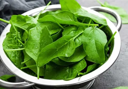 C&oacute;mo regular tu sistema nervioso y arritmias leves con espinacas, seg&uacute;n cardi&oacute;logo