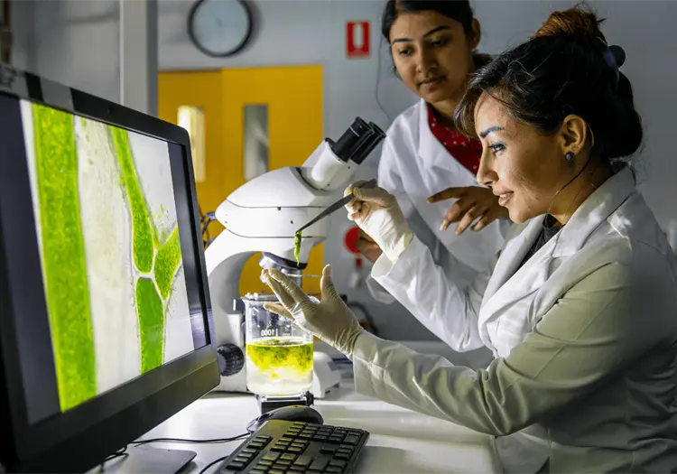 Se requiere m&aacute;s participaci&oacute;n femenina en la ciencia: solo tres de cada diez estudiantes STEM son mujeres